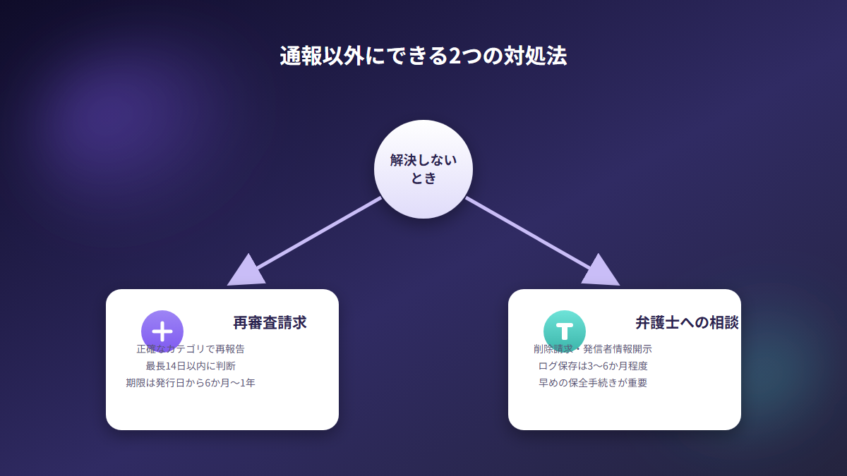 通報以外の対処法として再審査請求と弁護士への相談を示す図解